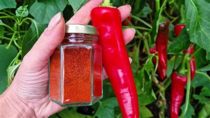 Can you grind your own paprika
