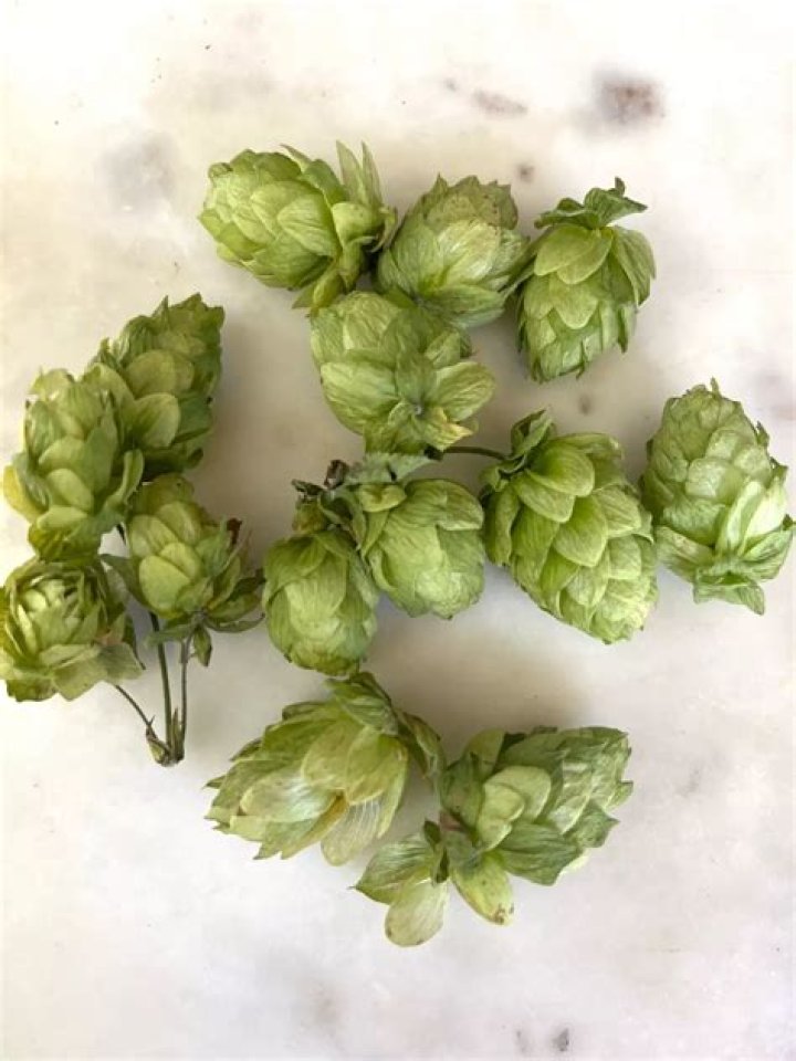 Can you grow hops in San Diego