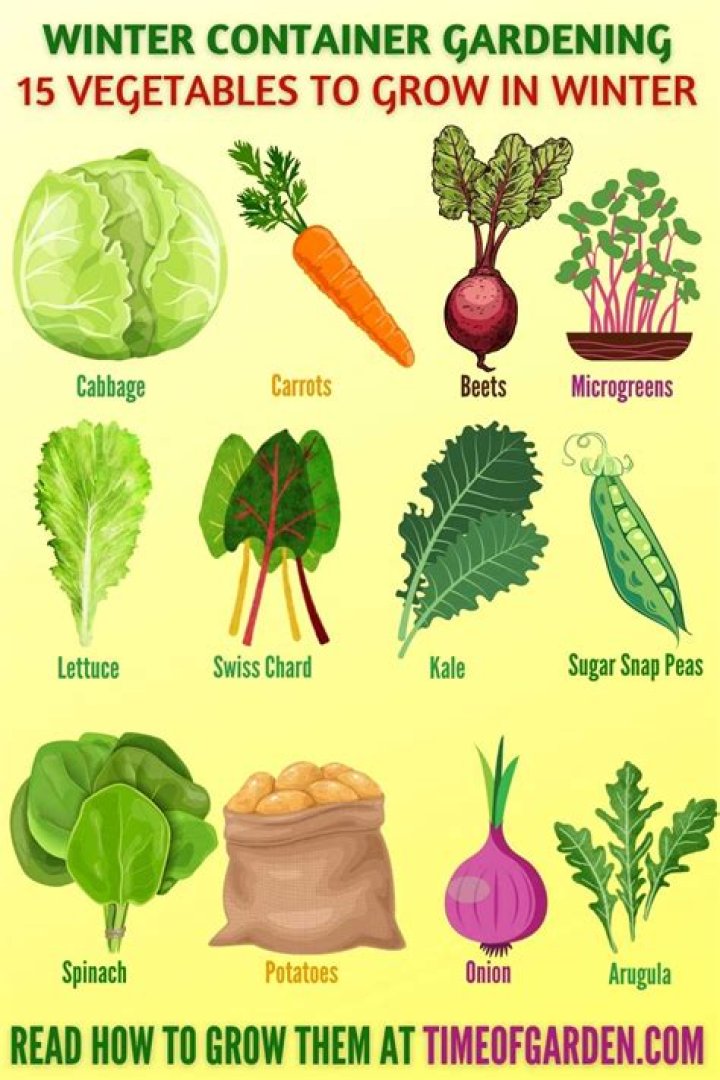 Can you grow veggies in winter