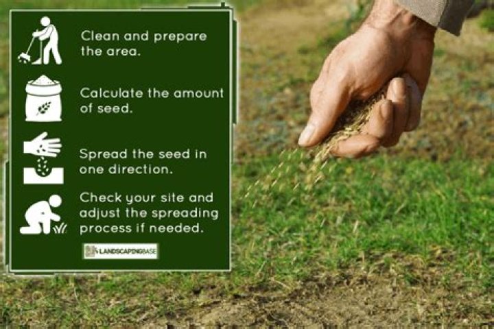Can you just spread grass seed