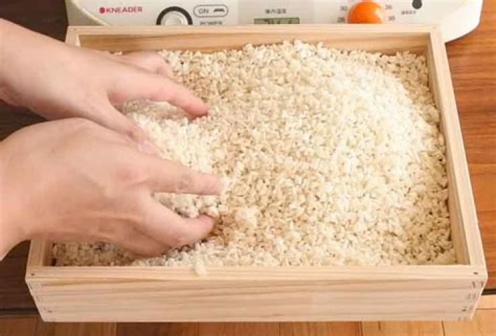 Can you make koji without starter