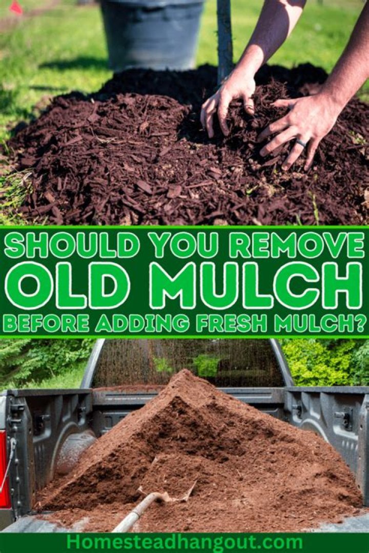 Can you mix old and new mulch