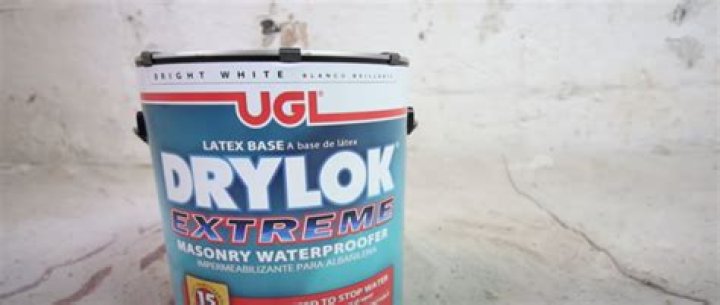 Can you paint Drylok over mold