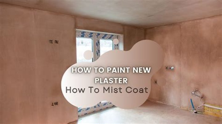 Can you paint plaster next day