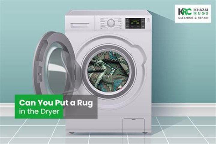 Can you put a rug in the dryer