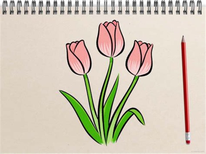 Can you take tulips on a plane