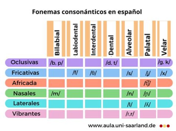 ¿Cuál es la consonante interna