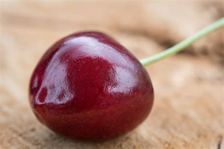 Do all cherries have worms inside