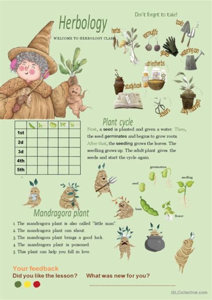 Do first years take Herbology