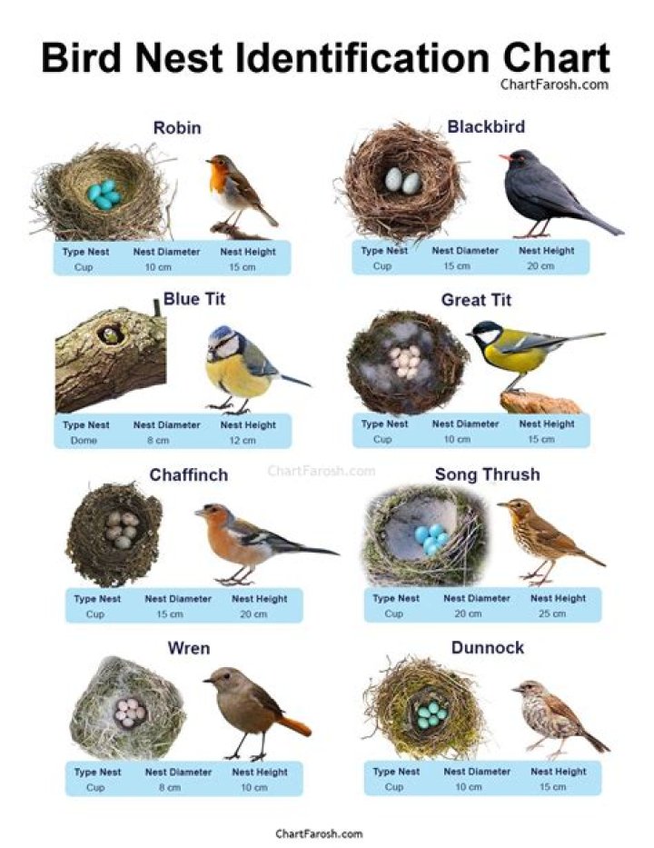 Do I need two nests for two zones