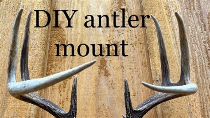Do it yourself Mount Deer antlers
