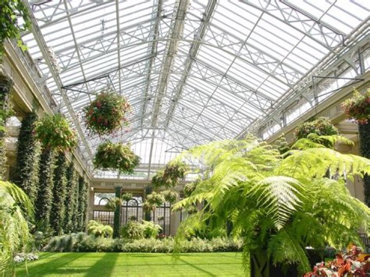 Do plants grow better in humidity