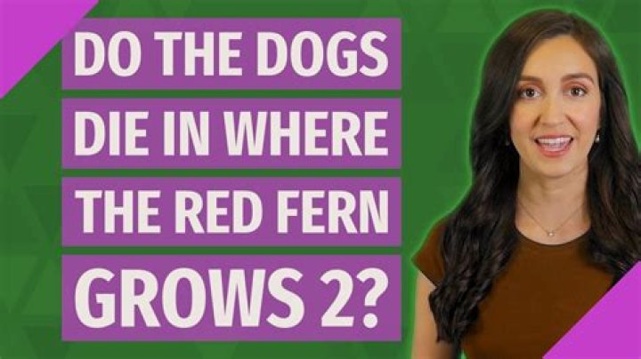 Do the dogs die in Where the Red Fern Grows 2