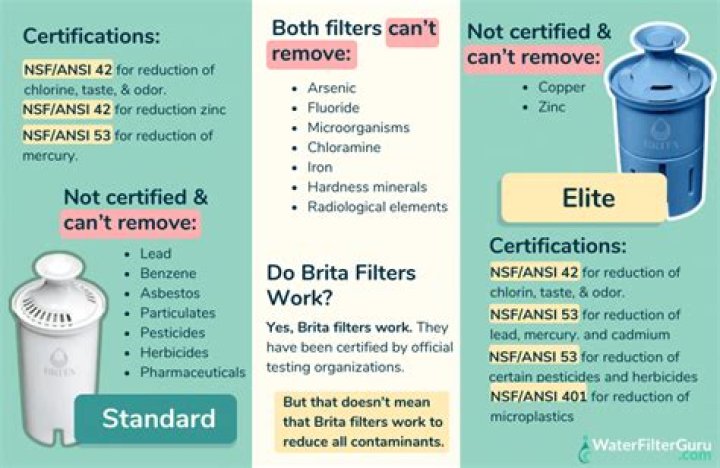 Does Brita filter remove sulfur