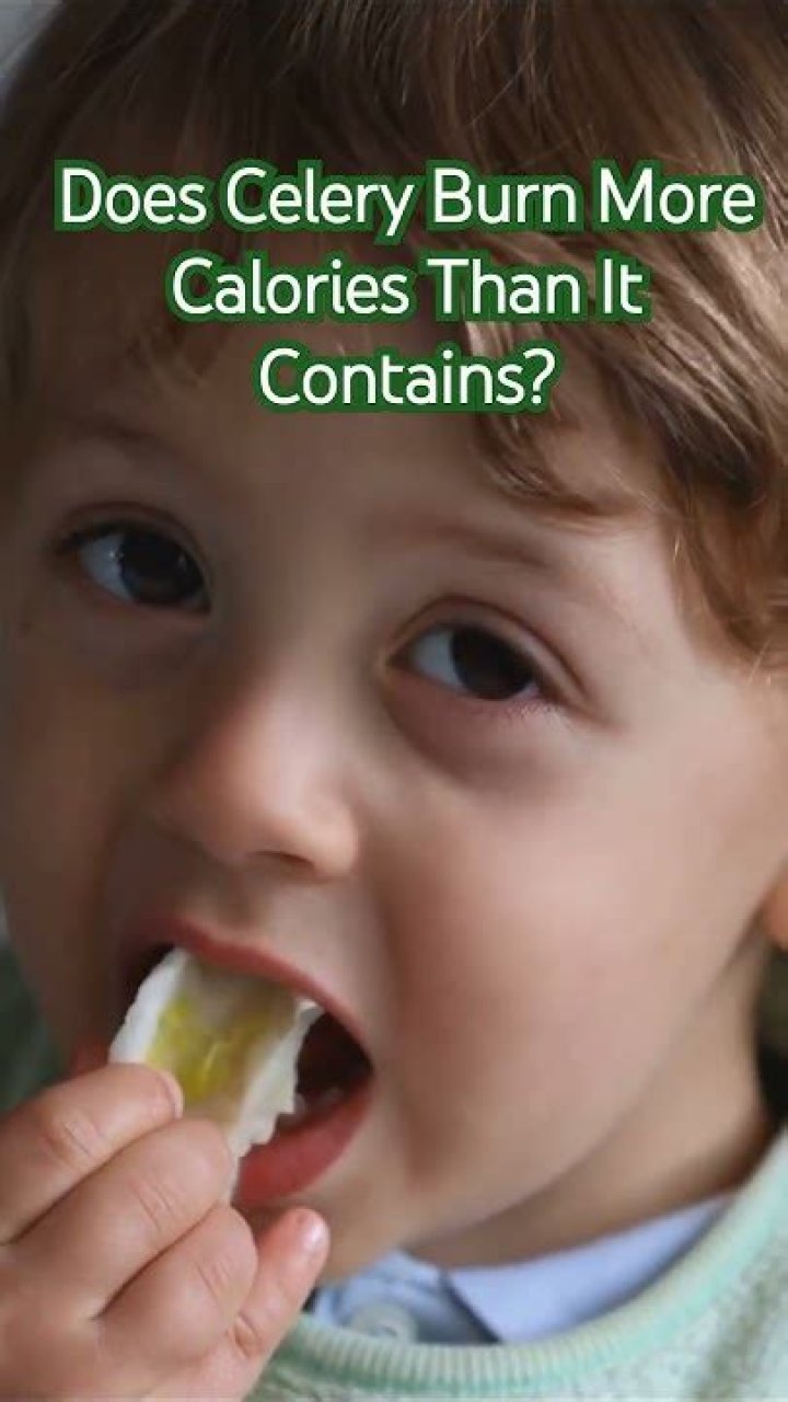 Does celery burn more calories than it