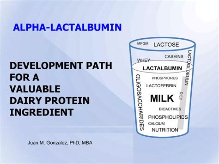 Does cheese contain a lactalbumin