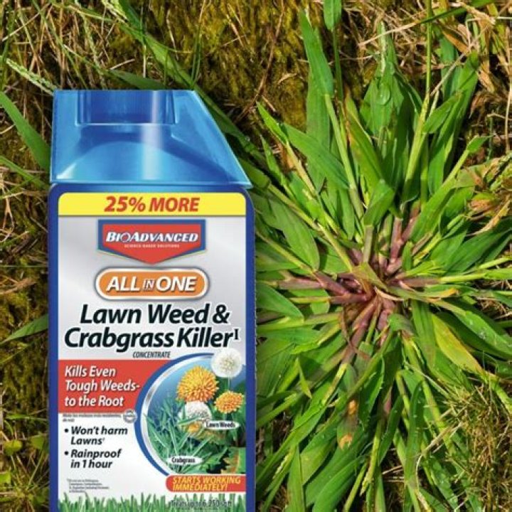 Does crabgrass killer really work