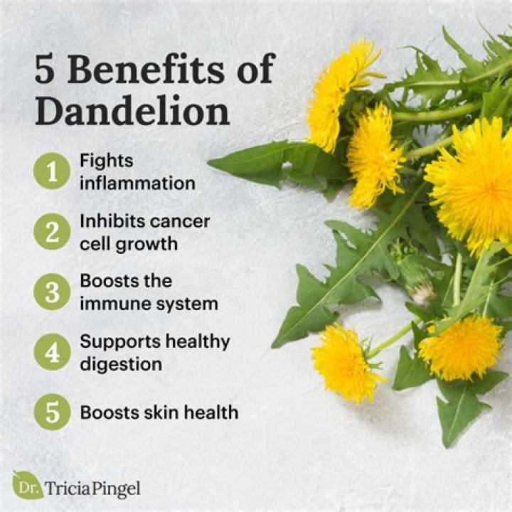 Does dandelion tea help with skin