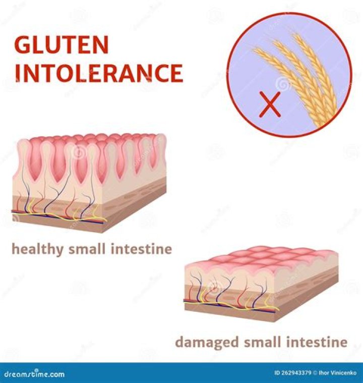 Does gluten damage the gut lining