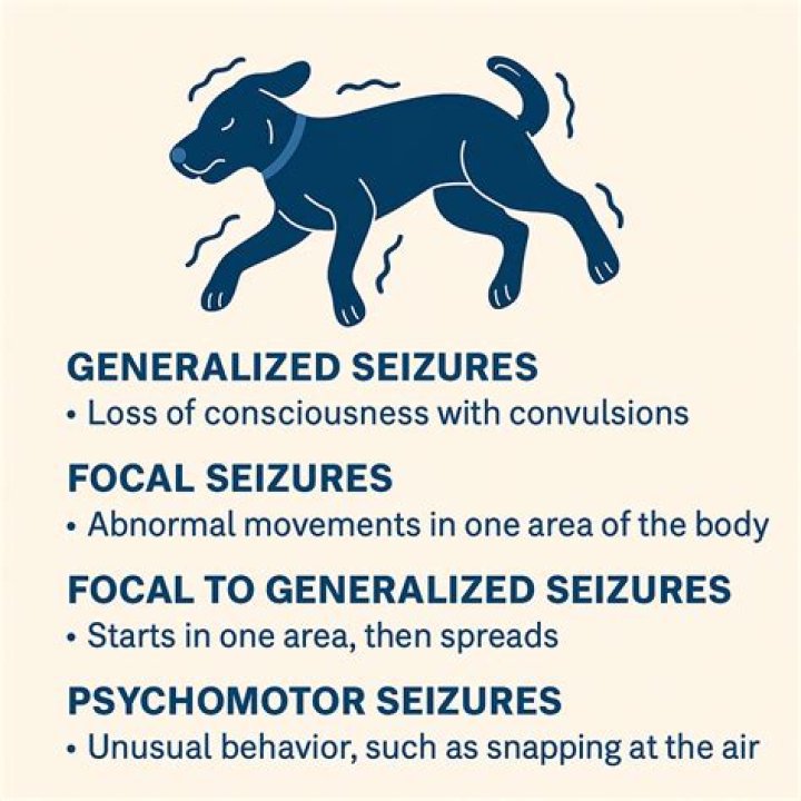 Does insurance cover seizure dogs