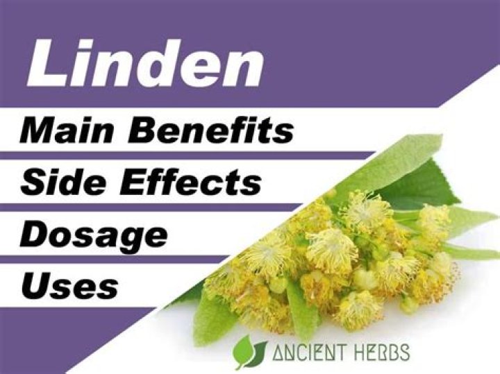Does Linden tea have side effects