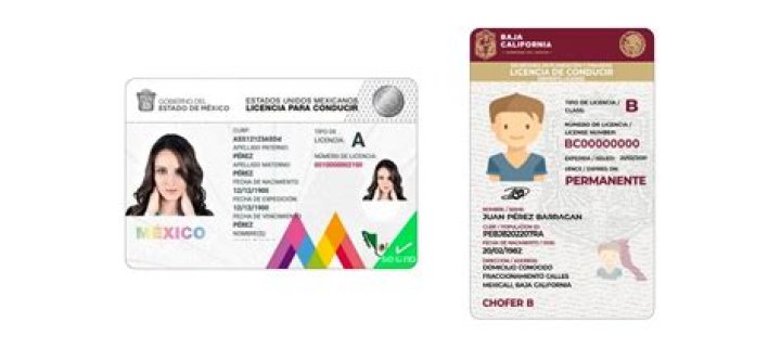 Does Mexico have drivers license