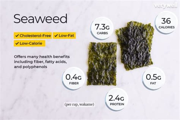 Does seaweed have lots of protein