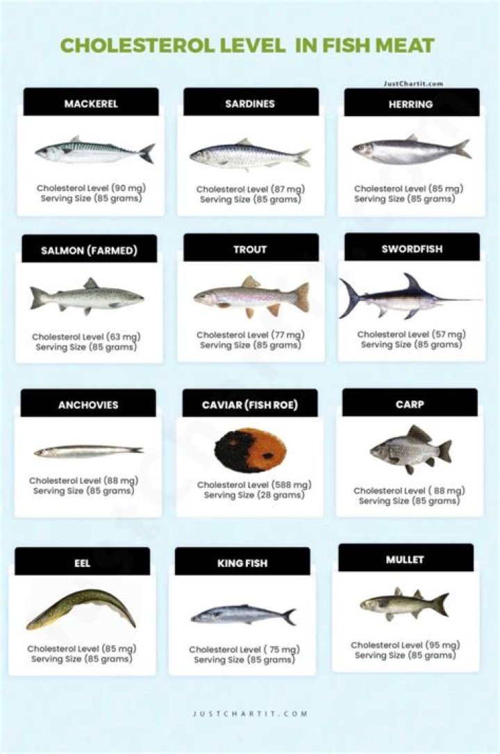 Does shellfish increase cholesterol