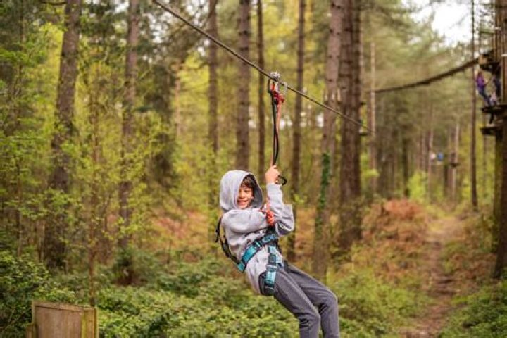 Has anyone ever died at Go Ape UK