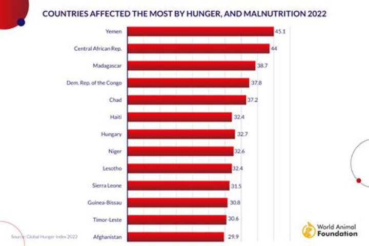 How bad is world hunger