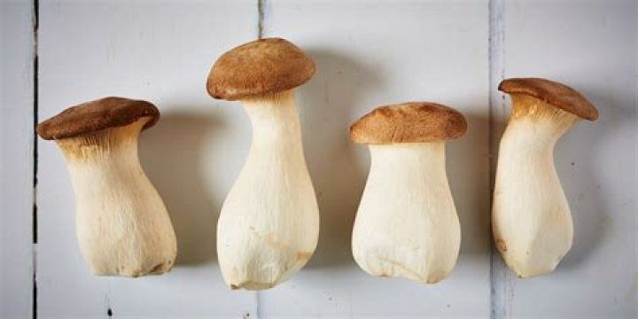 How big is a king oyster mushroom
