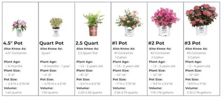 How big is a quart size plant pot