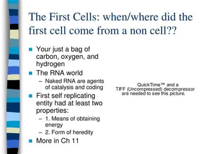 How did the first cell come to be