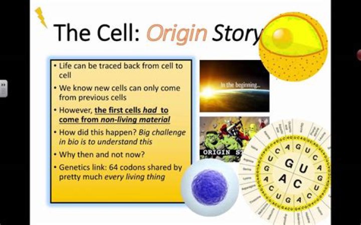 How did the first cells originate