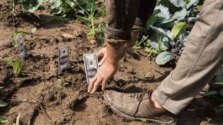 How do farmers make so much money