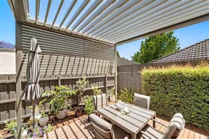 How do I choose a patio plant