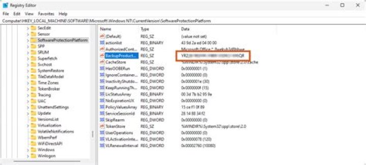 How do I find my Windows base URL