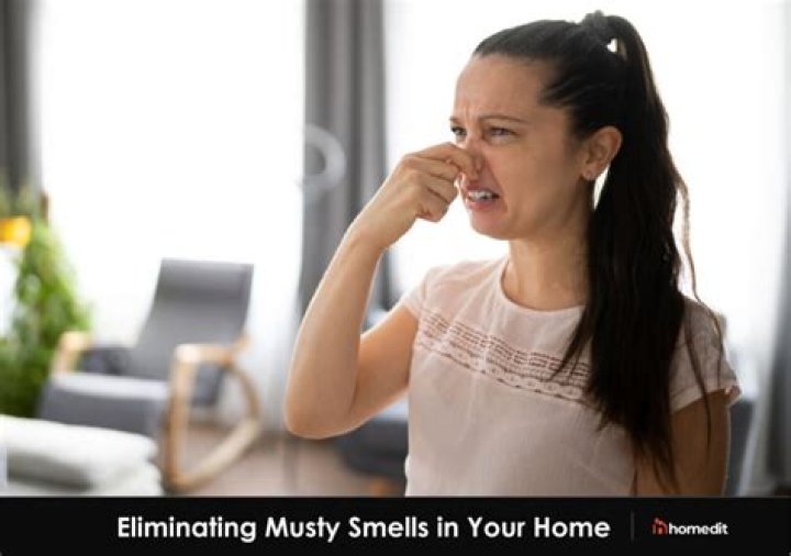 How do I get rid of a musty smell on my chest