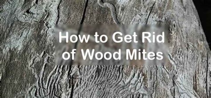 How do I get rid of wood mites on my deck
