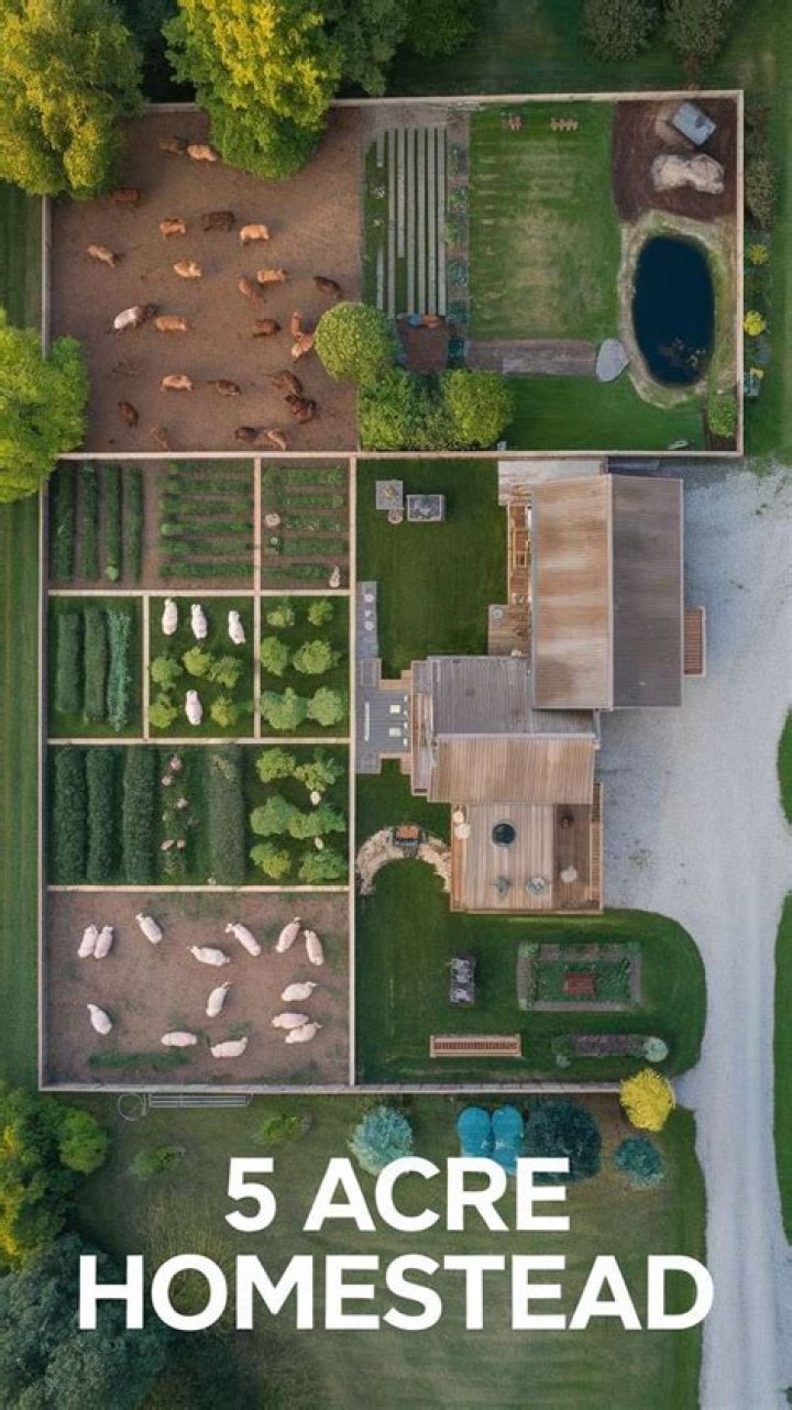How do I start a homestead garden