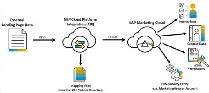 How do I view Web services in SAP
