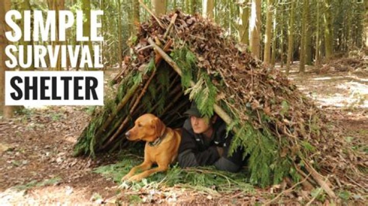 How do you build a simple shelter