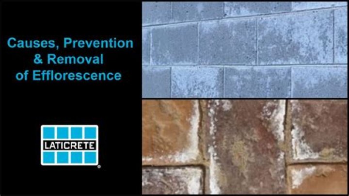 How do you dissolve efflorescence