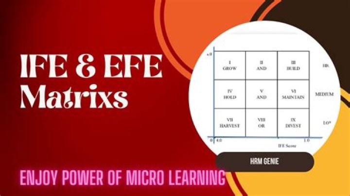 How do you explain EFE matrix