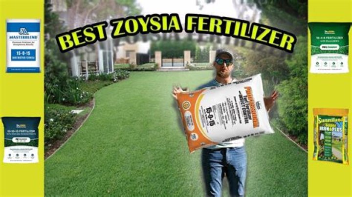 How do you fertilize Zorro zoysia