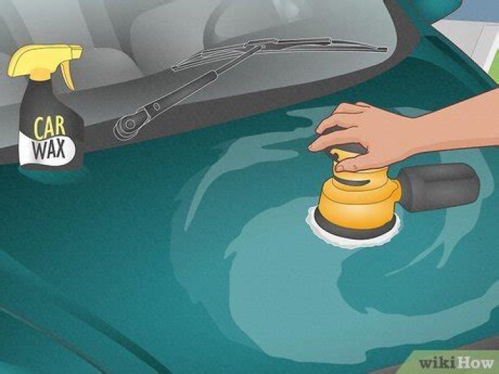 How do you get bat poop off your car