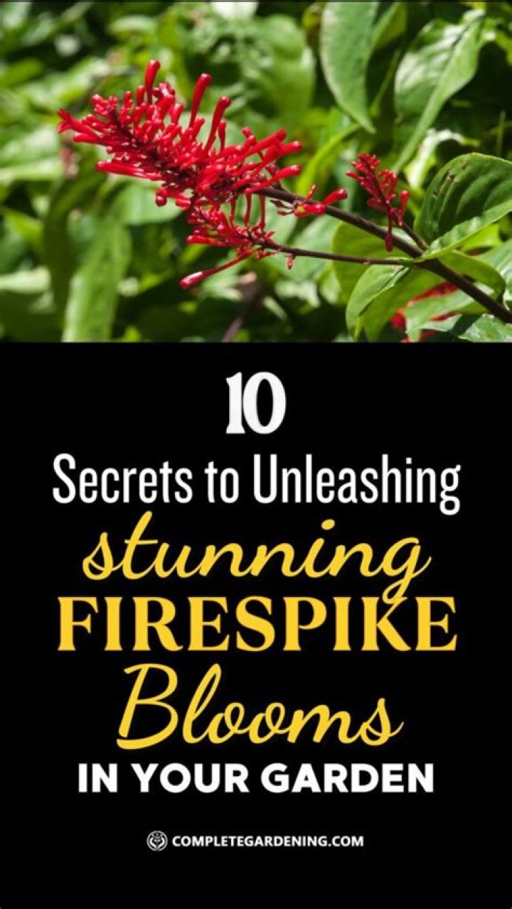 How do you get Firespike to bloom