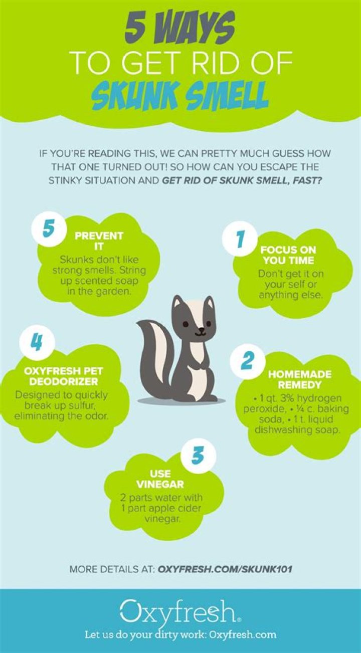 How do you get rid of skunk smell naturally