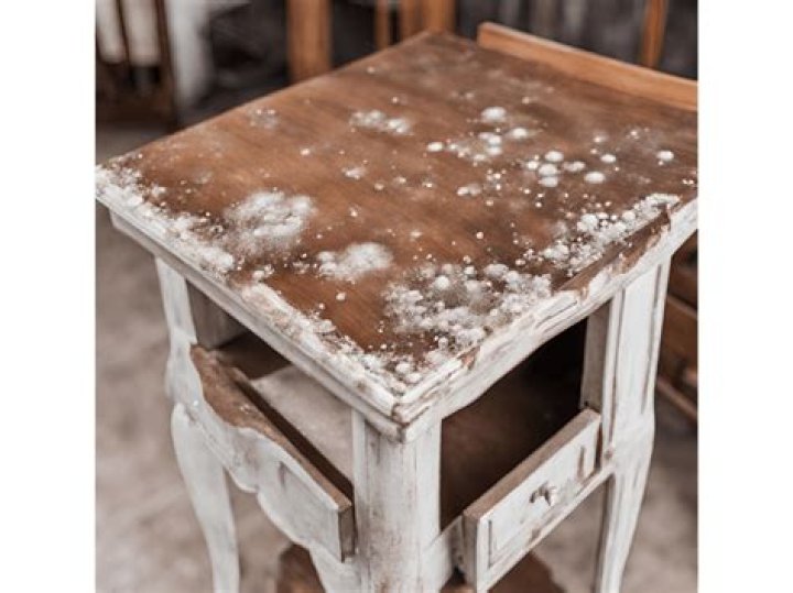 How do you get rid of white mold on furniture