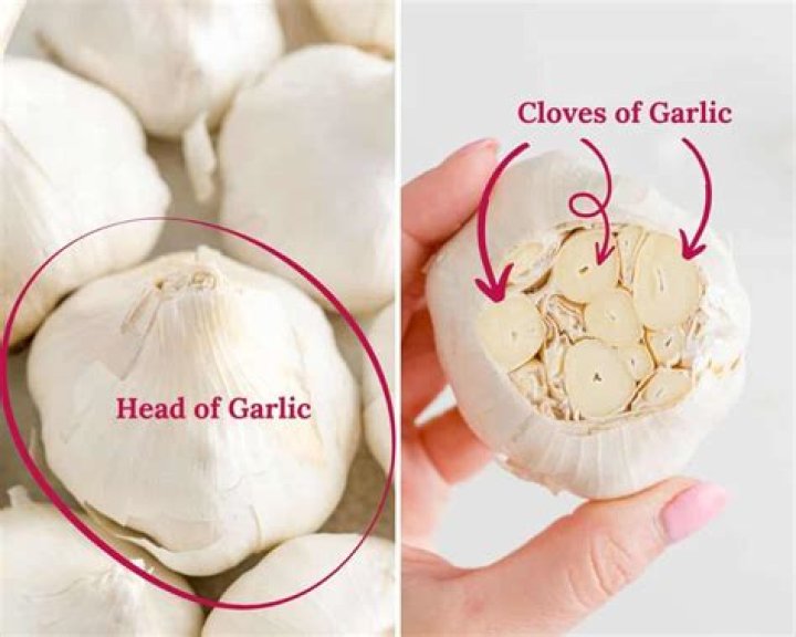 How do you halve a head of garlic